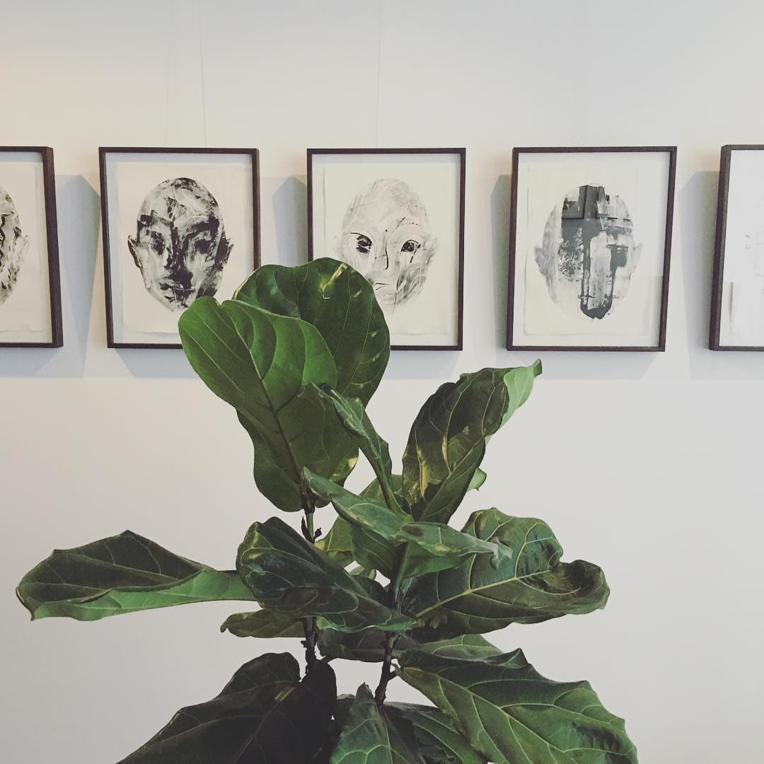 Artwork and plant in the clinic