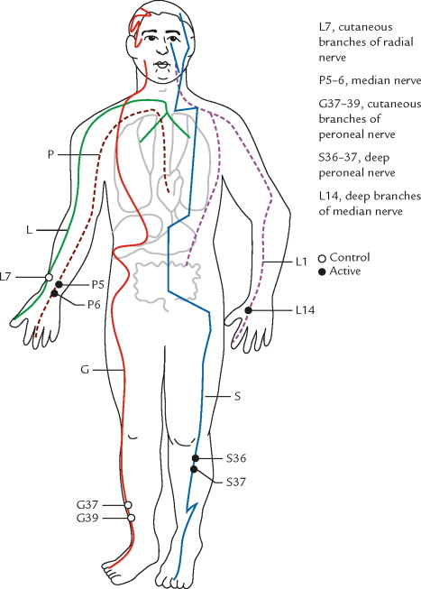 acupuncture-meridians